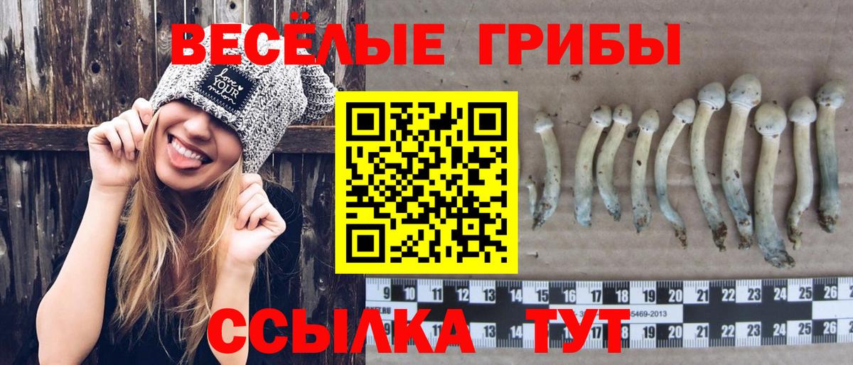 Псилоцибиновые грибы прущие грибы  Вход с VPN  Кирово-Чепецк  Галлюциногенные грибы ЛСД 